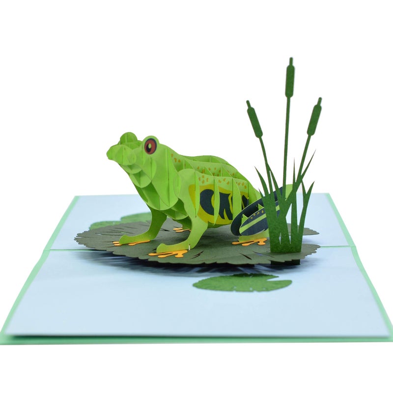 CUT POPUP.COM CUTPOPUP Birthday Card Pop Up, 3D Greeting Card (Frog) - Image 3